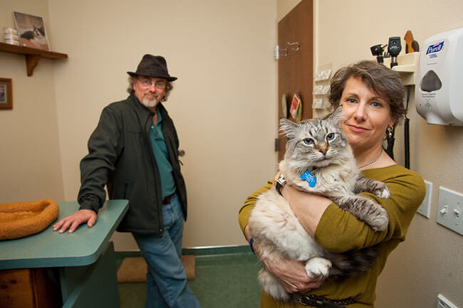 couple holding cat
