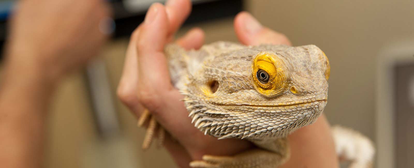 About Us | West Hills Animal Hospital About Us | West Hills Animal Hospital