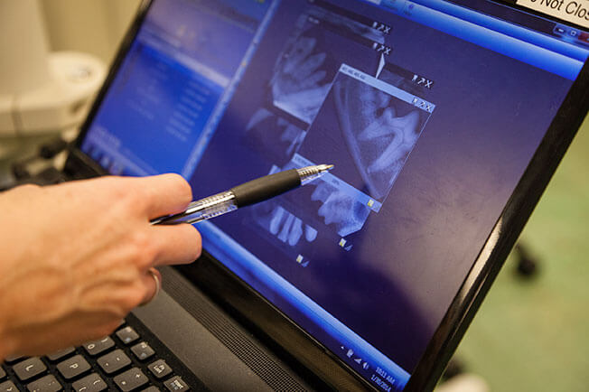 veterinary dental scan on a computer screen