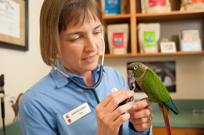 woman holding bird