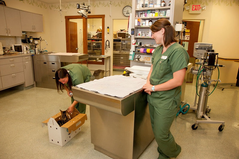 diagnostics labratory