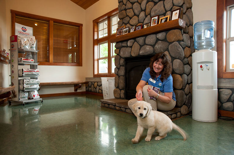 puppy playing in lobby