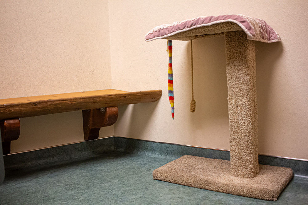 scratch post
