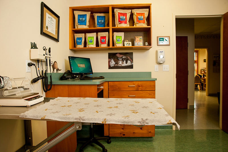 veterinary exam room