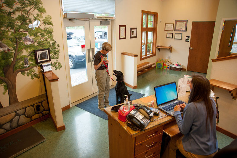 woman with dog in lobby